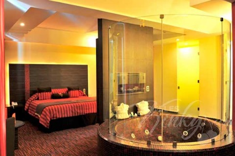 El costo de la habitación Jacuzzi Elite es de $850 pesos. LoveHotel Lua