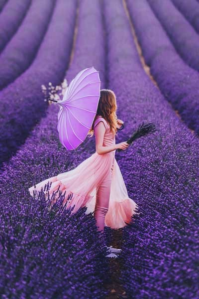 La estética humana complementa la de la naturaleza, por ejemplo, en estos campos de lavanda. Kristina Makeeva Lavanda