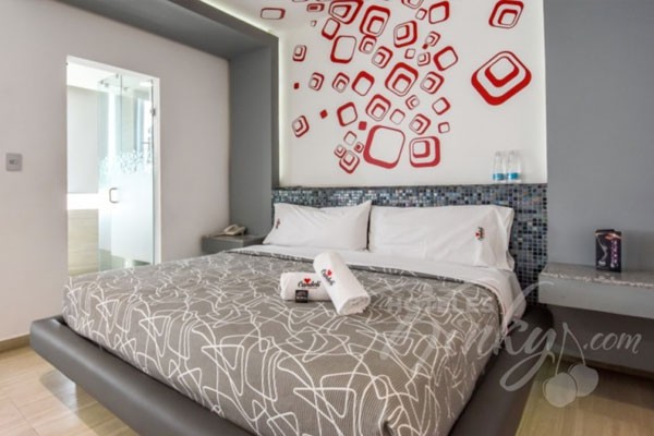 Las habitaciones tienen Tubo de pole dance para que se consientan con un baile muy sensual. suite-jacuzzi-Candeli