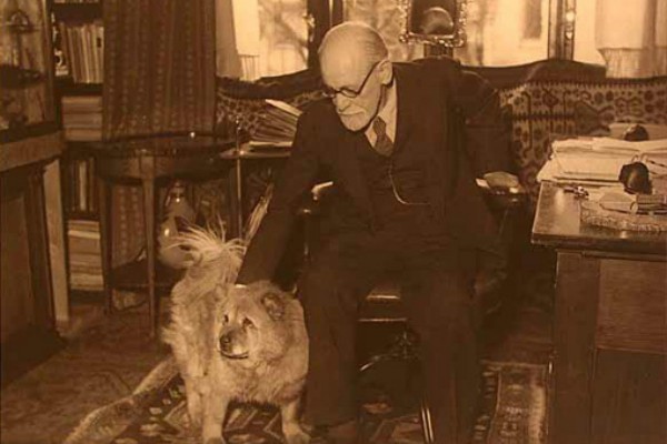 Freud con su perro en su consultorio. Freud y su perro