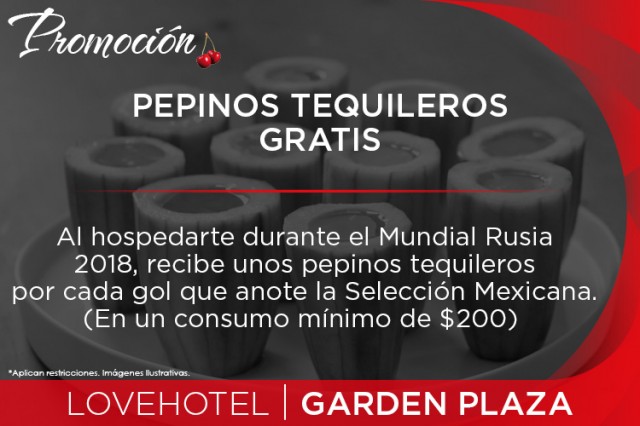 Si eres futbolero y tequilero de corazón, aprovecha.
hotel garden plaza 2