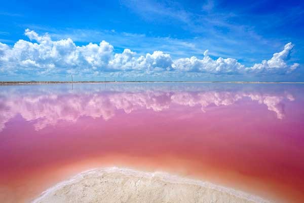 No está prohibido nadar ahí, pero no es recomendable por el alto grado de sal del agua. destinos paisajes impactantes las coloradas