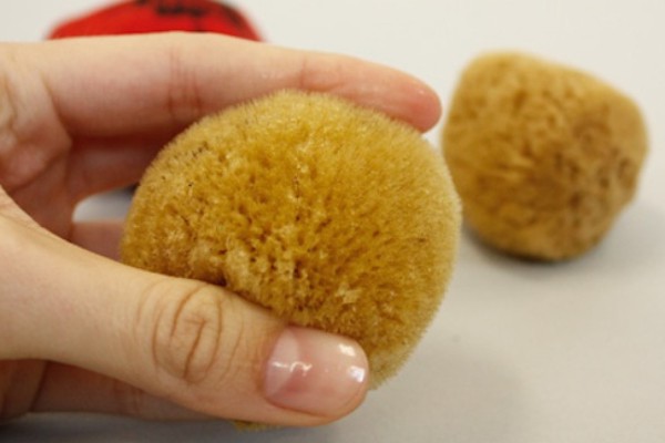 Esponjas vaginales más tradicionales.
tipos de esponjas menstruales