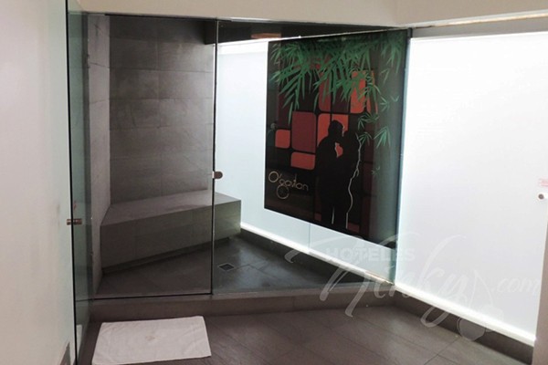 Vapor/Sauna de la Habitación Villa Jacuzzi-Vapor del Love Hotel O’Gavilán.