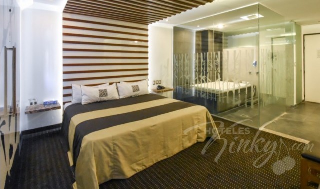 Habitación Jacuzzi, $450. aragon-plaza-jacuzzi