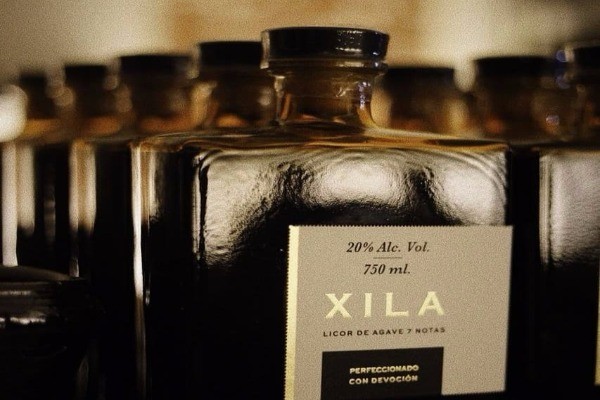 Xila, el licor de agave, es un producto mexicano que no te puedes perder.