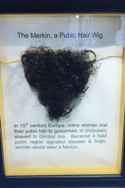 En un museo se expone una muestra de merkin. merkin