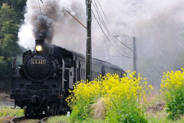 Fukuen Tren
