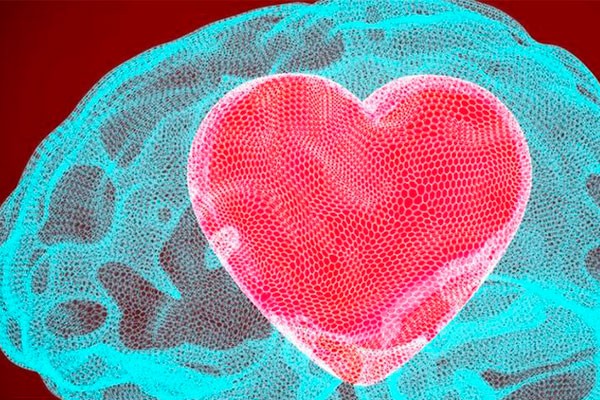 Es una hormona que, desde el cerebro, controla muchos aspectos de tu sexualidad. Kisspeptina cerebro