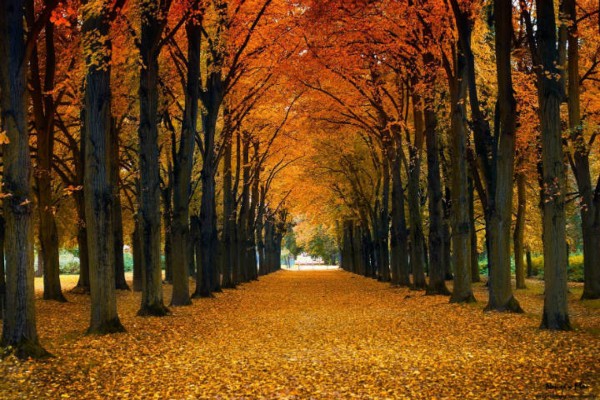 Quebec Otoño