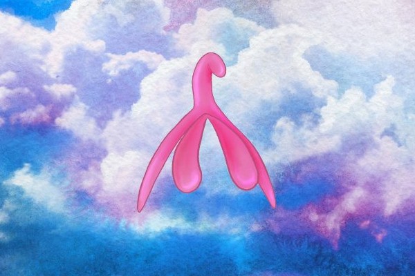 Este es tu clítoris, y estará en las nubes con este juguete. Clítoris