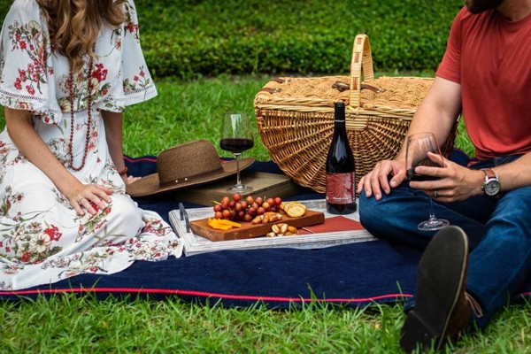 Vive una bella historia de amor con un picnic solo para los dos. picnic al aire libre