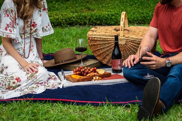 picnic al aire libre