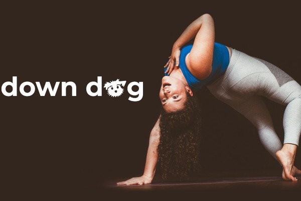Promo Down Dog