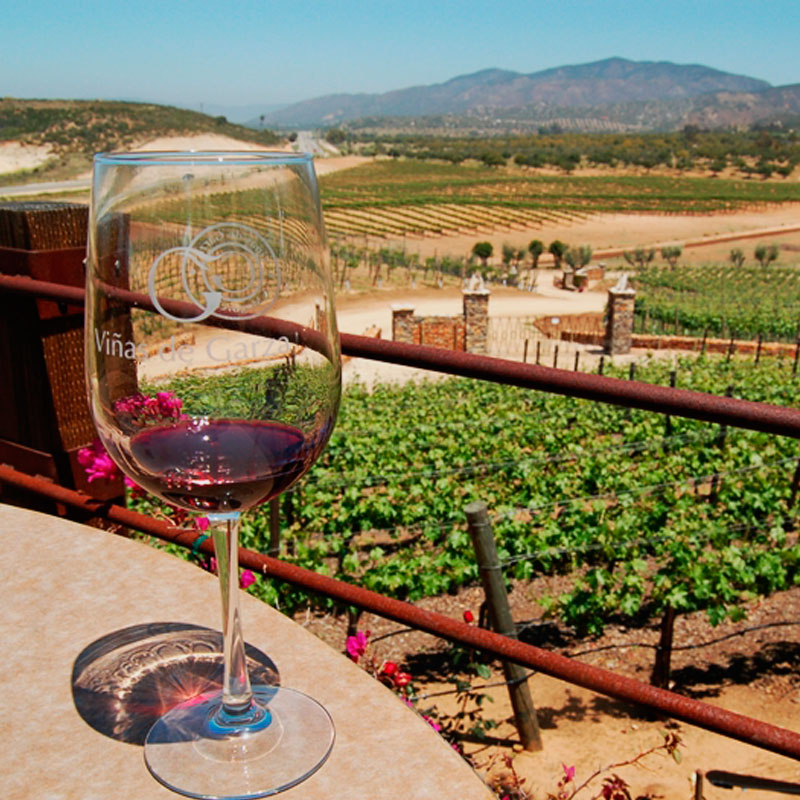 Recorrido por los viñedos de Baja California