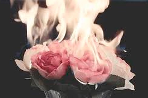 Aviva la pasión de tu entorno y deja que el fuego, las rosas, el romero, la canela y la mirra se encarguen de lo demás.