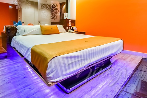 ¡Enamórate en la Crazy Bed!