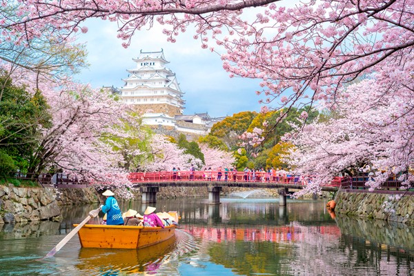 Disfruta de unas vacaciones muy rosas en Japón.