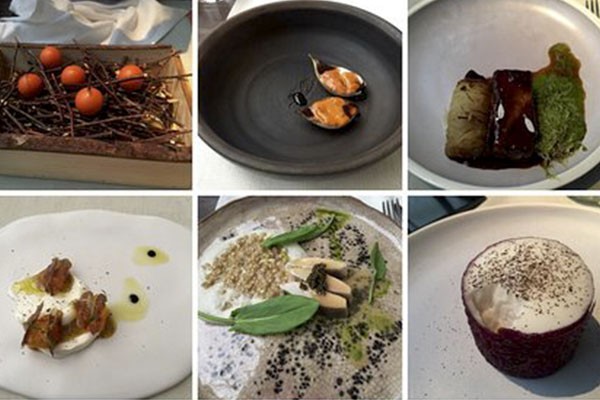 Su cocina se basa en crear platillos frescos y originales.